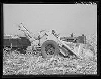 [Untitled photo, possibly related to: Mechanical corn picker. Fred Coulter farm. Grundy County, Iowa]. Sourced from the Library of Congress.