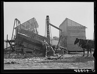 During an abundant harvest many corn cribs are filled while they are still under construction. Grundy County, Iowa. Sourced from the Library of Congress.