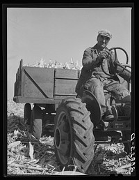 Fred Coulter with load of hybrid corn. Grundy County, Iowa. Sourced from the Library of Congress.