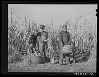 [Untitled photo, possibly related to: Fred Ukro with corn husked for yield test. Grundy County, Iowa]. Sourced from the Library of Congress.