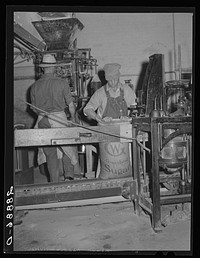 Filling bags with sugar. Brighton, Colorado. Sourced from the Library of Congress.
