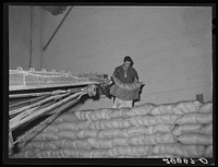 Storing bags of sugar at beet factory. Brighton, Colorado. Sourced from the Library of Congress.