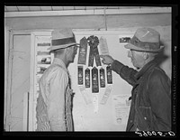 Thoroughbred livestock from the cooperatives have won many prizes at county and state fairs. Osage Farms, Missouri. Sourced from the Library of Congress.