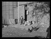 The FSA (Farm Security Administration) is helping more than five hundred fifty thousand needy farm families to gain a greater degree of security. It aids them in adopting the most modern and efficient farm practices. Typical of the practical farm methods the FSA encourages these families to adopt is that of milk testing. Black Hawk County, Iowa. Sourced from the Library of Congress.