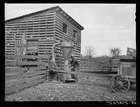 Grinding corn for feed. Boone County, Missouri. Sourced from the Library of Congress.
