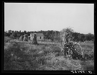 Fifteen acre subsistence homestead developed by FSA (Farm Security Administration) for tiff miner Lawrence Corda. Washington County, Missouri. Sourced from the Library of Congress.