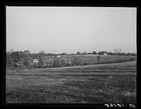 Some of the fifteen acre subsistence farms developed by the FSA (Farm Security Administration) for tiff miners. Washington County, Missouri. Sourced from the Library of Congress.