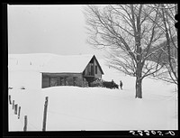 Taking wood from snowed-under woodpile into shed with team of oxen and sled. Near Barnard, Windsor County, Vermont. Sourced from the Library of Congress.