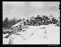 [Untitled photo, possibly related to: Timber leveled by the 1938 hurricane piled at a saw mill just outside of Warren, New Hampshire]. Sourced from the Library of Congress.