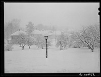 North Conway, New Hampshire after a storm. Sourced from the Library of Congress.