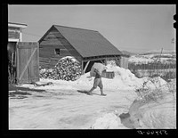 [Untitled photo, possibly related to: Mr. Dickerson carrying sack of feed into shed on his farm. Lisbon, near Franconia, New Hampshire]. Sourced from the Library of Congress.