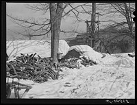 Woodpiles outside of sugar house on Frank Shurtliffs farm, North Bridgewater, Vermont. Large supply of wood is needed for fuel in boiling the maple sap. Sugaring brings in about one thousand dollars annually. Because of the deep snow this year he only tapped 1000 of his 2000 trees. He expects to make about 300 to 500 gallons this year. Sourced from the Library of Congress.