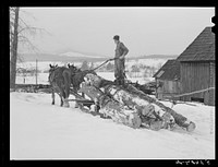 Hired man hauling logs with sled and team on farm near Waterbury, Vermont. He said "There ain't nothin' meaner than a log except a woman when she wants to be, and they're just as stubborn". Sourced from the Library of Congress.