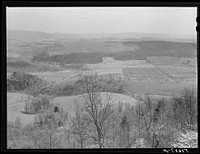 [Untitled photo, possibly related to: The fertile Shenandoah in the spring. Virginia]. Sourced from the Library of Congress.