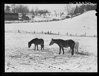 [Untitled photo, possibly related to: Farm near Warrenton, Virginia]. Sourced from the Library of Congress.