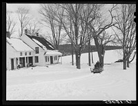 R.W. Cassidy farmer, Putney, Vermont, hauling manure with his sled and team. He owns about two hundred acres, has lived here about seventeen years. Sourced from the Library of Congress.