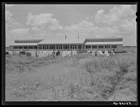 Showers for both babies and older children and for parents and complete laundry facilities are provided for members of the Okeechobee migratory labor camp. Belle Glade, Florida. Sourced from the Library of Congress.