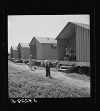 [Untitled photo, possibly related to: Camp members' children are taking an interest in keeping shelters and grounds clean. Osceola migratory labor camp. Belle Glade, Florida]. Sourced from the Library of Congress.