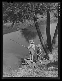 [Untitled photo, possibly related to: Cajun children fishing in a bayou near the school by Terrebonne Project. Schriever, Louisiana]. Sourced from the Library of Congress.