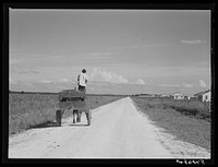 The waterboy, who takes the water in his cart to the men working in the fields all day. Terrebonne Project, Schriever, Louisiana. Sourced from the Library of Congress.