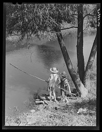 [Untitled photo, possibly related to: Cajun children fishing in bayou near the school by Terrebonne Project. Schriever, Louisiana]. Sourced from the Library of Congress.
