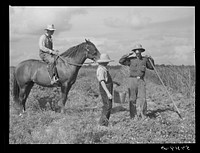 The waterboy brings one of the cooperative members a drink while he chops grass out of sugarcane field. The foreman, chosen by group from among own members, is on horse supervising work. Terrebonne Project, Schriever, Louisiana. Sourced from the Library of Congress.