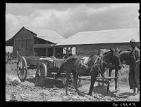 [Untitled photo, possibly related to: Bayou Bourbeaux plantation operated by Bayou Bourbeaux farmstead association, a cooperative established through the cooperation of the FSA (Farm Security Administration)]. Sourced from the Library of Congress.