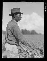 Allen Plantation operated by Natchitoches farmstead association, a cooperative established through the cooperation of FSA (Farm Security Administration). Louisiana. Sourced from the Library of Congress.