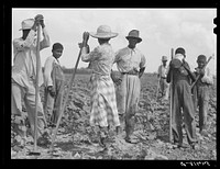 Bayou Bourbeaux Plantation operated by Bayou Bourbeaux farmstead association, a cooperative established through the cooperation of the FSA (Farm Security Administration). Sourced from the Library of Congress.