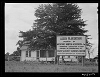 Allen Plantation operated by Natchitoches farmstead association, a cooperative established through the cooperation of the FSA (Farm Security Administration). Louisiana. Sourced from the Library of Congress.
