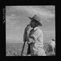 Member of the Allen Plantation cooperative association resting from hoeing cotton. Near Natchitoches, Louisiana. Sourced from the Library of Congress.