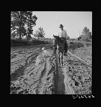 [Untitled photo, possibly related to: Melrose, Natchitoches Parish, Louisiana. Mulatto riding to crossroads store to get supplies after heavy rains]. Sourced from the Library of Congress.