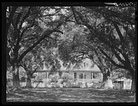Melrose, Natchitoches Parish, Louisiana. Old plantation home in cotton region, La Cote Joyeuse Bermuda, belonging to Prudhomme family. Sourced from the Library of Congress.