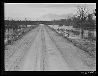 Melrose, Natchitoches Parish, Louisiana. Road leading to Black Lake, excellent fishing area. Sourced from the Library of Congress.