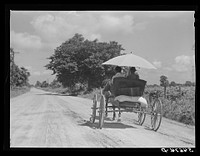 Melrose, Natchitoches Parish, Louisiana. Sourced from the Library of Congress.