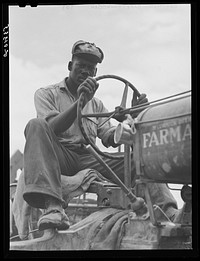 Driver of combine threshing oats on La Delta Project. Thomastown, Louisiana. Sourced from the Library of Congress.