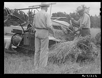 Willy Roberts, county supervisor, inspecting new co-op combine purchased through FSA (Farm Security Administration) to harvest crops of low income farmers and other FSA borrowers. He is demonstrating in his own oat field. Oak Grove, West Carroll Parish, Louisiana. Sourced from the Library of Congress.