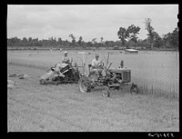 [Untitled photo, possibly related to: Willy Roberts, county supervisor, examining co-op binder purchased by J.M. Womack, FSA (Farm Security Administration) borrower who is harvesting oats for Robert J. Waller, another FSA borrower. Oak Grove, West Carroll Parish, Louisiana]. Sourced from the Library of Congress.