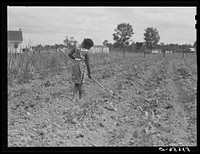 Tom Scott's daughter working in their garden by their home at La Delta Project. Thomastown, Louisiana. Sourced from the Library of Congress.