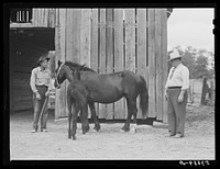 [Untitled photo, possibly related to: Dr. J.D. Jones inspecting brood mare and colt of FSA (Farm Security Administration) borrower M.P. Puckett, who is receiving the benefits of the FSA veterinary cooperative. West Carroll Parish, Louisiana]. Sourced from the Library of Congress.