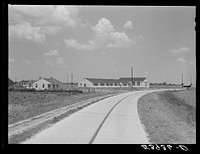 Main highway leading through the project, with school and community building on left. Transylvania Project, Louisiana. Sourced from the Library of Congress.