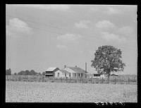Project family's home, with garden, chicken house and barn. Transylvania Project, Louisiana. Sourced from the Library of Congress.
