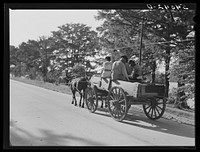 Returning home with wagons loaded with entire family and supplies on Saturday evening. Lake Providence, Louisiana. Sourced from the Library of Congress.