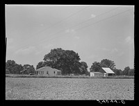 Project family's home and barns. Transylvania Project, Louisiana. Sourced from the Library of Congress.