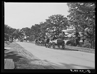 [Untitled photo, possibly related to: Returning home with wagons loaded with entire family and supplies on Saturday evening. Lake Providence, Louisiana]. Sourced from the Library of Congress.