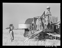 [Untitled photo, possibly related to: Golus Skipper on the co-op association's binder while threshing Willy Anglin's oats. Transylvania Project, Louisiana]. Sourced from the Library of Congress.