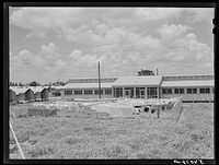 Showers for both babies and older children and for parents and complete laundry facilities are provided in the utility building for members of the Osecola migratory labor camp. Belle Glade, Florida. Sourced from the Library of Congress.