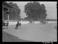 Sulky of harness races. Horse show, Shelby County fair, Shelbyville, Kentucky. Sourced from the Library of Congress.