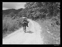 Rural mailman taking packages and saddlebags of letters, which have been transferred from a wagon which cannot go up the bad side roads and creek beds, to the mountain families in this isolated area. Near Morehead, Kentucky. Sourced from the Library of Congress.