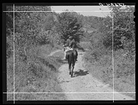 Mountaineer and wife riding home with groceries and supplies. Breathitt County, Kentucky. Sourced from the Library of Congress.